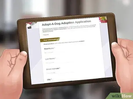 Image titled Adopt a Service Dog Step 7