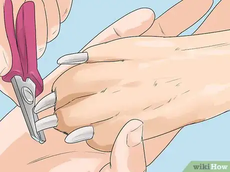 Image titled Give Your Dog a Make Over Step 4