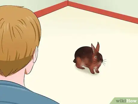 Image titled Care for Rex Rabbits Step 7