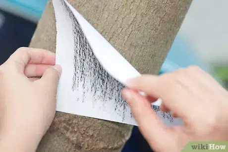 Image titled Make a Bark Rubbing Step 5