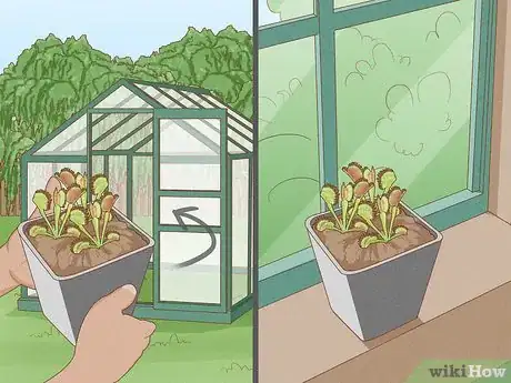 Image titled Raise Carnivorous Plants Step 15
