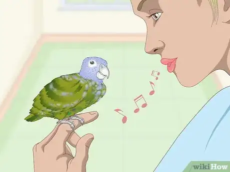 Image titled Bond with a Pionus Parrot Step 6