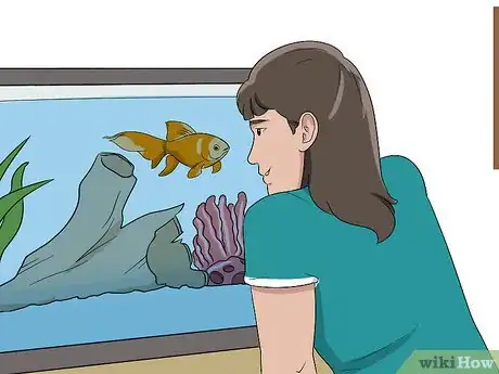Image titled Ensure Your Pet Fish Are Healthy Step 14