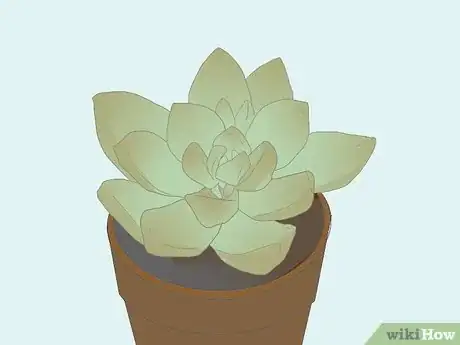 Image titled Create a Fairy Garden Step 9