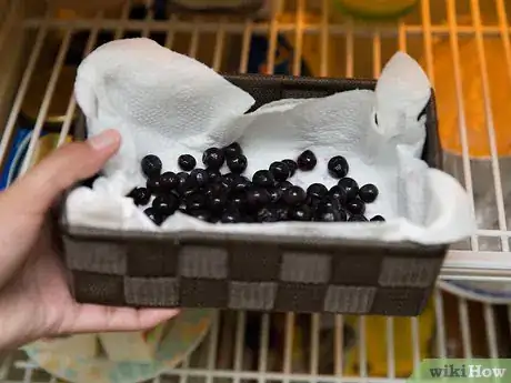 Image titled Store Blueberries Step 8