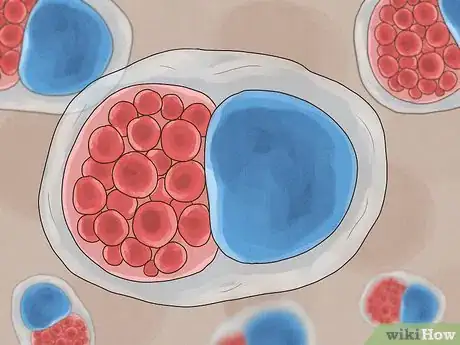 Image titled Prevent Nongenital STIs Step 2