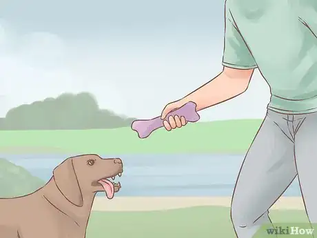 Image titled Become Friends with an Unfriendly Dog Step 14