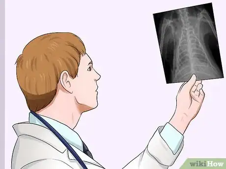 Image titled Diagnose Snuffles (Pasteurella) in Rabbits Step 10