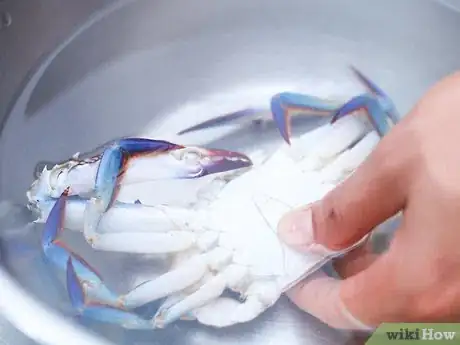 Image titled Boil Crab Step 3