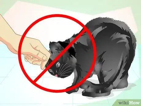 Image titled Train an Old Stubborn Cat to Do Tricks Step 14