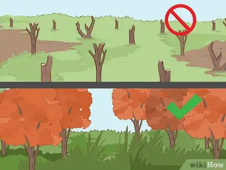 Image titled Attract Downy Woodpeckers Step 1