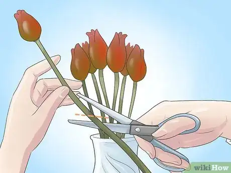 Image titled Grow Tulips Step 13