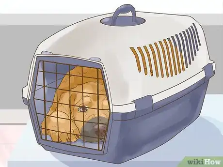 Image titled Include Your Dog in an Emergency Disaster Plan Step 10