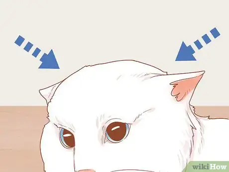Image titled Figure Out if Your Cat Is Angry Step 4