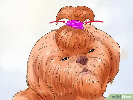 Image titled Groom a Shih Tzu at Home Step 12