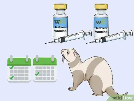 Image titled Get Your Ferret Vaccinated Step 8