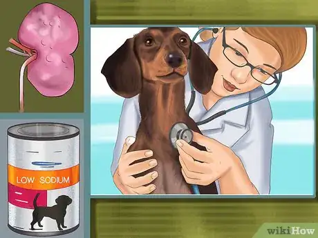 Image titled Feed Your Senior Dog a Healthy Diet Step 12