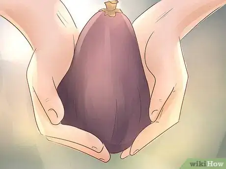 Image titled Become a Botanist Step 13