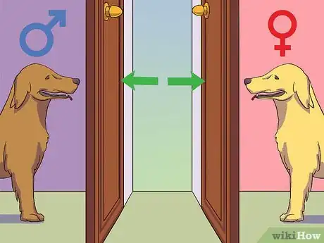 Image titled Calm a Male Dog when a Female Is in Heat Step 2