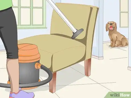 Image titled Vacuum Your Dog Step 2