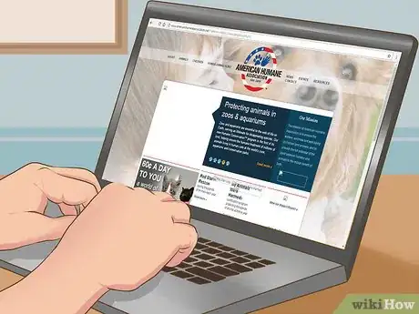 Image titled Provide Preventive Veterinary Care for Your Dog Step 12