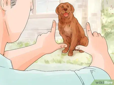 Image titled Photograph Dogs Step 2