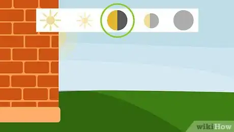 Image titled Grow Violets Step 4