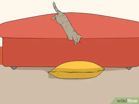 Image titled Adopt a Special Needs Cat Step 7