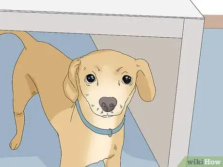 Image titled Prevent Flea Bites Step 2