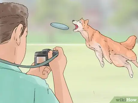 Image titled Photograph Dogs Step 8