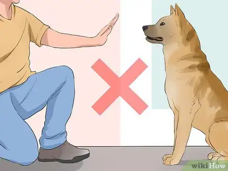 Image titled Keep Elderly Family Safe Around Active Dogs Step 8