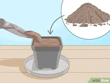 Image titled Raise Carnivorous Plants Step 10