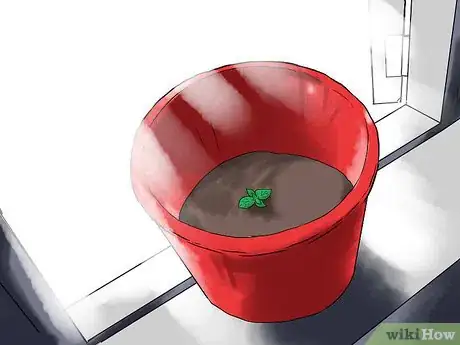 Image titled Grow Mint in a Pot Step 18