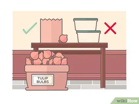 Image titled Store Bulbs Step 10