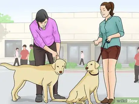 Image titled Keep Your Dog from Being Bored Step 14