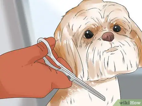 Image titled Give Your Dog a Make Over Step 3