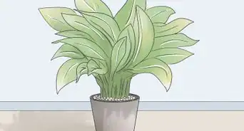 Have Fun with Water Beads