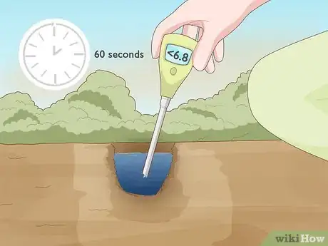 Image titled Grow Salvias Step 4