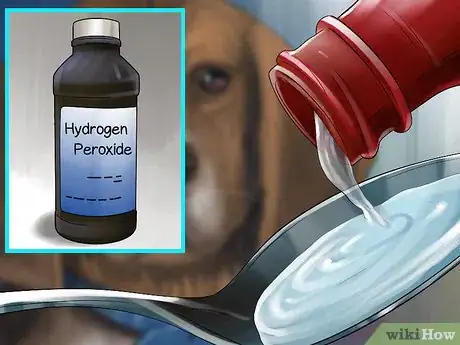 Image titled Get a Dog to Vomit Step 5