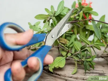 Image titled Make Floral Craft Arrangements Step 7