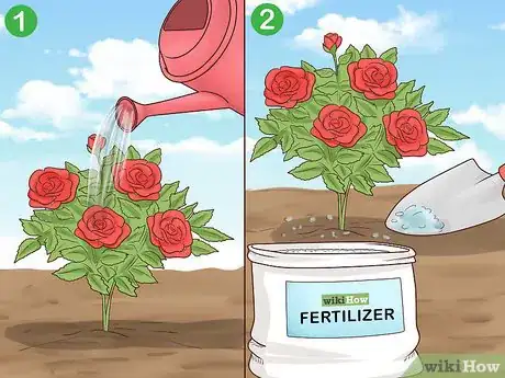 Image titled Plant Landscape Plants Step 22