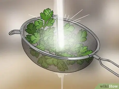 Image titled Use Cilantro Step 1