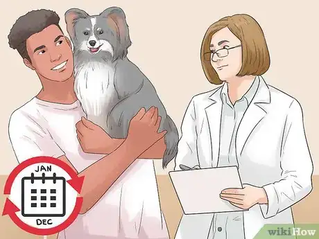 Image titled Give Dogs What They Need Step 11