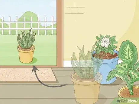 Image titled Get Rid of Thrips Indoors Step 2