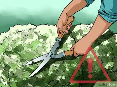 Image titled Prevent Aspergillosis Step 4