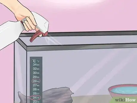 Image titled Breed Hermit Crabs Step 5