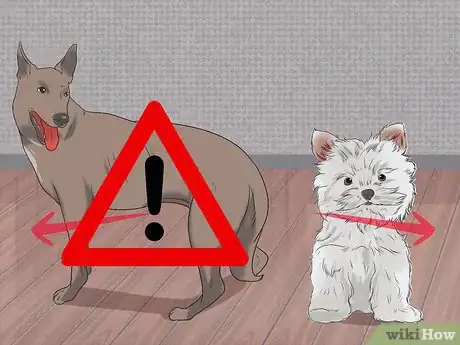 Image titled Prevent Canine Infectious Hepatitis Step 2