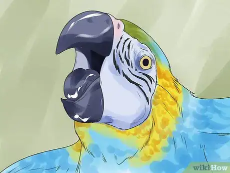 Image titled Recognize Stress in Your Pet Parrot Step 5