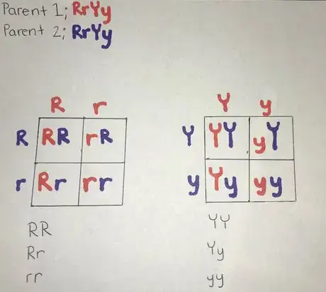 Image titled Wiki 5 cropped.png