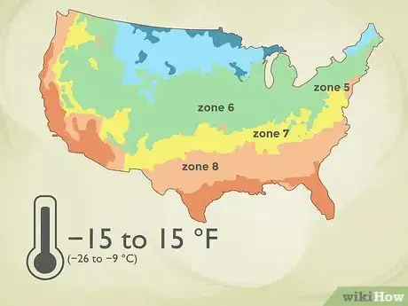Image titled Grow Pawpaws Step 5